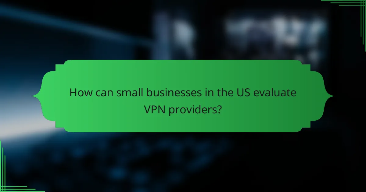 How can small businesses in the US evaluate VPN providers?